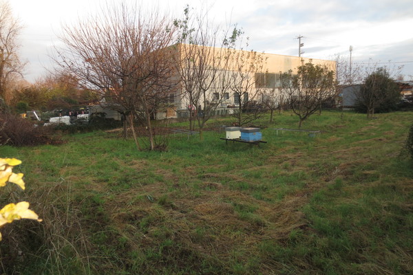 vista 5 - TERRENO ARTIGIANALE ZUGLIANO (VI)  